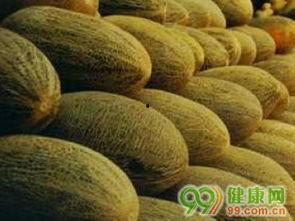 布病患者可以吃哈密瓜吗,哈密瓜可否食用？