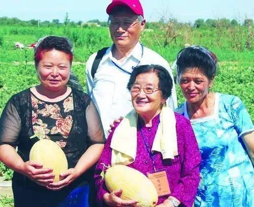 吃瓜保定教师,保定教师背后的故事