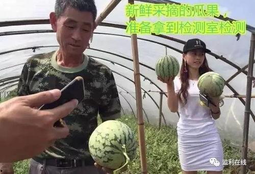 图片新鲜吃瓜群众