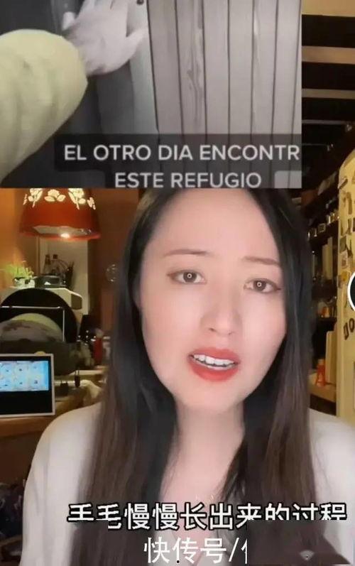 网红nana吃瓜,吃瓜背后的故事与真相