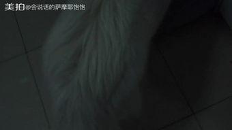 搞笑歌曲吃瓜视频,笑料横生！吃瓜视频带你领略搞笑歌曲的魅力