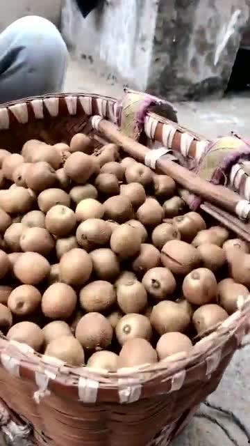 野生孝子带你吃瓜,共品人间百味瓜