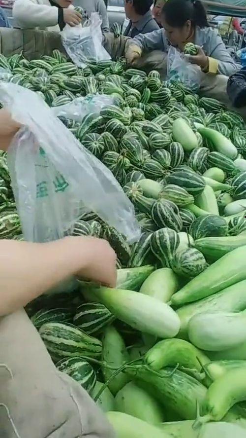 拉瓜可以烤着吃吗,美味烤食探索之旅