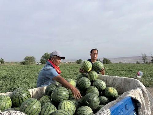 吃瓜新玉局,揭秘娱乐圈幕后风云