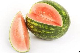 打籽瓜怎么吃,解锁美味新体验