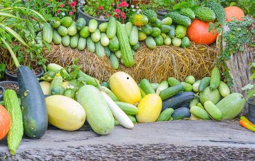 三三三喜吃瓜,揭秘瓜界传奇，品味生活甜蜜