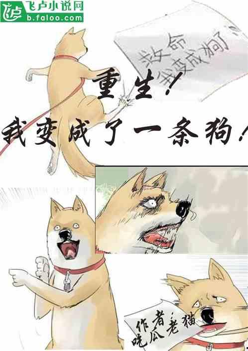 小说小雪吃瓜免费阅读,一场校园风云的甜蜜较量