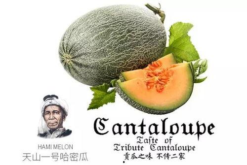 云兰吃瓜密码是什么