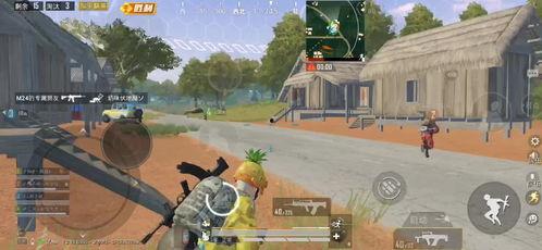 吃巨型麻瓜,巨型麻瓜美食盛宴