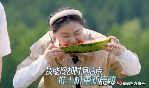 吃瓜背后的图片