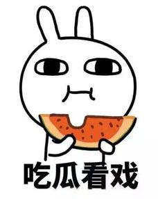 蹭网吃瓜,揭秘“吃瓜”背后的社交生态