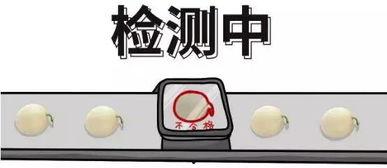 情侣吃瓜问题,情侣吃瓜那些事儿