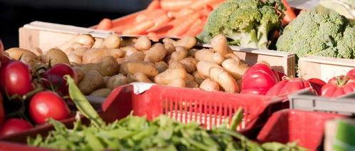 松门中学吃瓜,揭秘校园里的“瓜田”风云