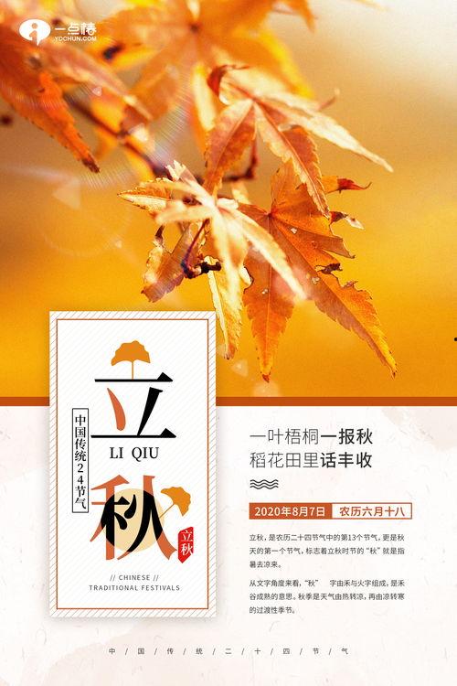 吃瓜群众专栏文集,揭秘娱乐圈幕后故事