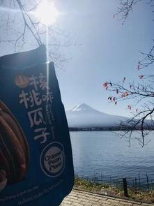 富士山吃瓜,富士山下的夏日吃瓜盛宴