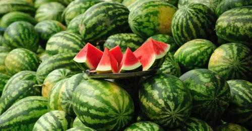 吃瓜的人有规矩的