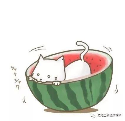 头像动漫夏天吃瓜