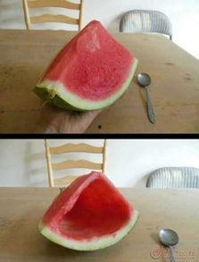 单县吃瓜网,揭秘单县美食与趣事