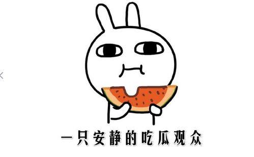 吃瓜群众的内涵,网络时代的围观力量与舆论风向标