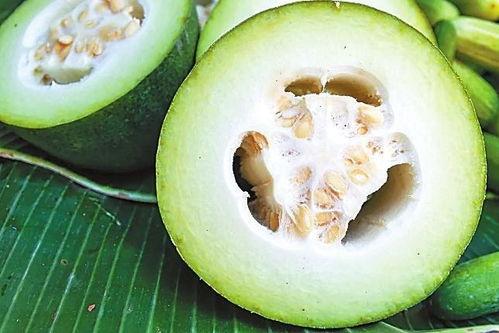 网纹蜜瓜花式吃瓜,花式吃瓜创意无限