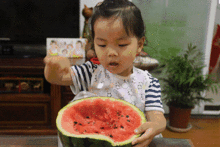 吃瓜群众瓜宝怎么了,吃瓜群众热议焦点