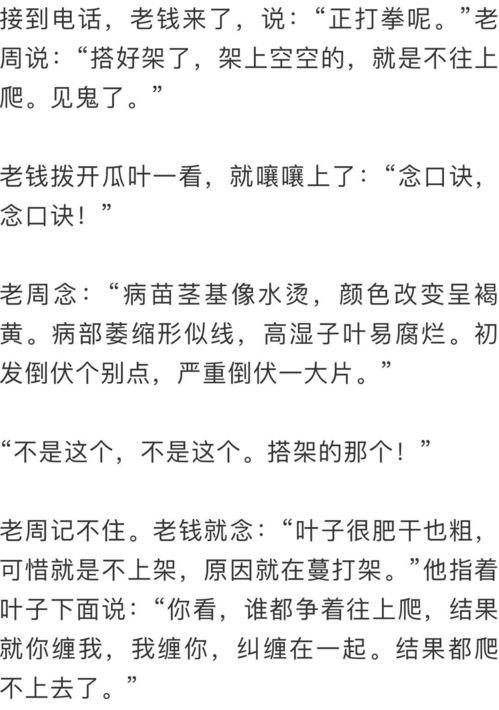 吃瓜群众熟读的诗,吃瓜群众眼中的诗意人生