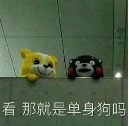 吃瓜相亲吗,趣味交友新潮流