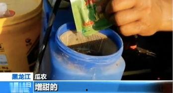 吃瓜吃到催熟剂