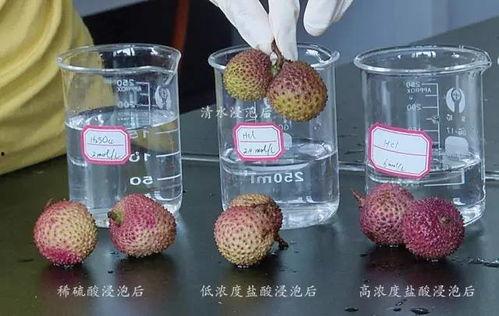 吃瓜吃到催熟剂