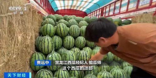吃瓜抱团,揭秘网络社交新现象