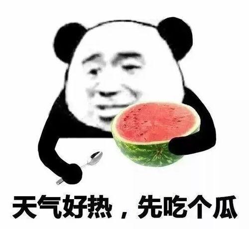 吃瓜抱团,揭秘网络社交新现象