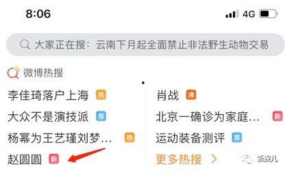 吃瓜赵圆圆