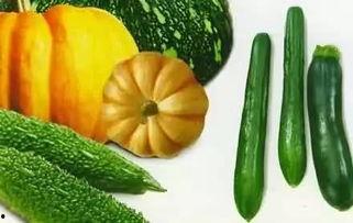 大圣的吃瓜