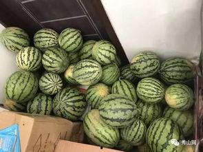 江科吃瓜群